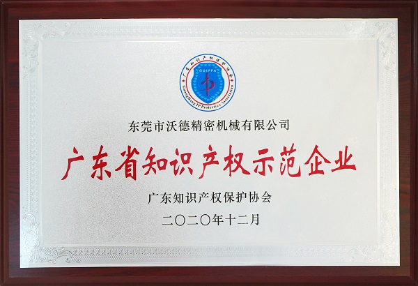 广东省知识产权示范企业
